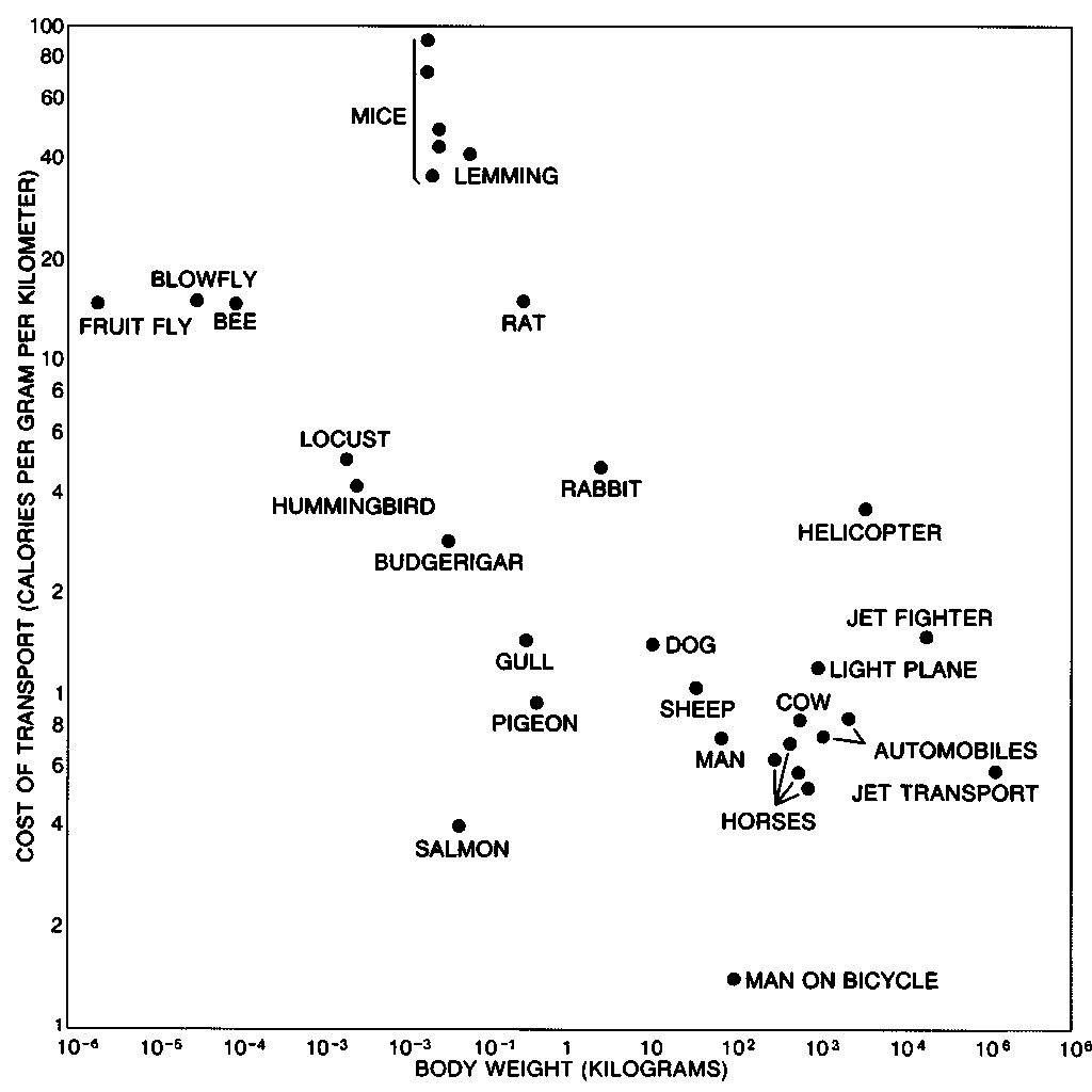 Locomotion Efficiency