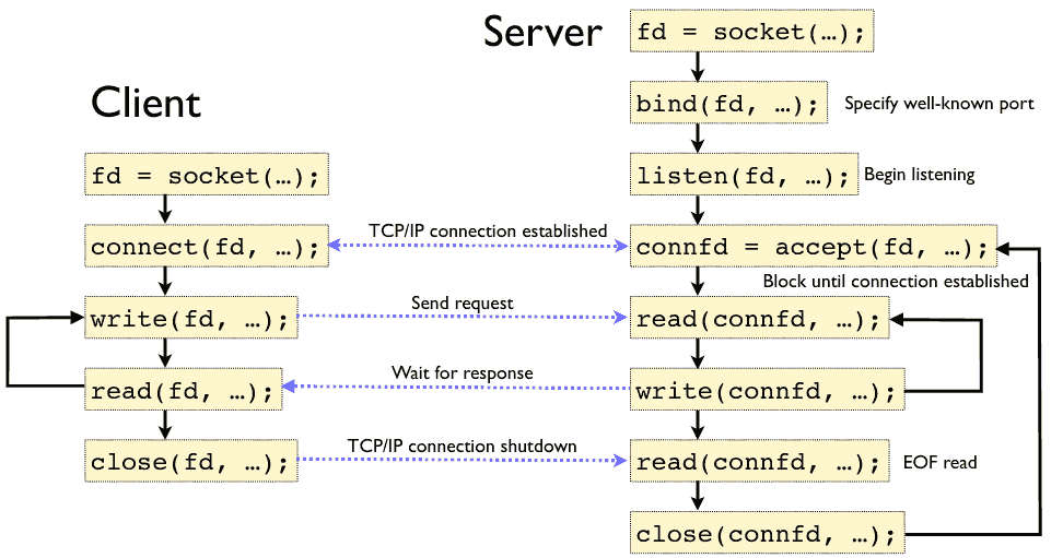 Socket States